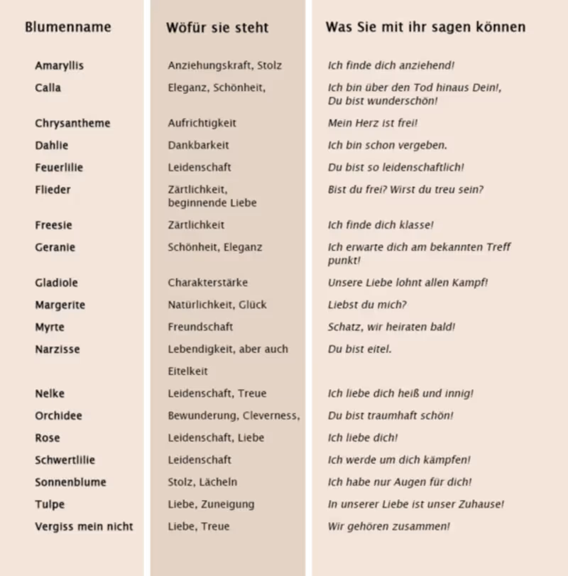 Abbildung von: