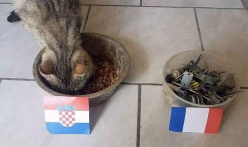 Abbildung von: Kroatien wird gewinnen, bestimmt!