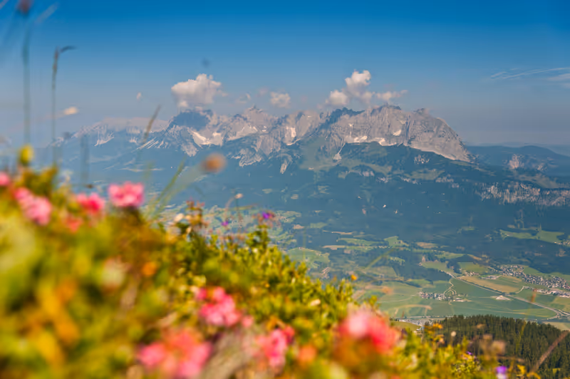 Abbildung von: 🌳 Clean Alpine Region (CLAR) Kitzbüheler Alpen - St. Johann