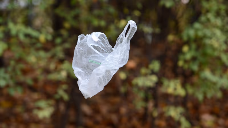 Abbildung von: 🛍️ Aus für Plastiksackerl