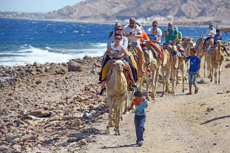 Abbildung von: 🐪 Ägypten verbietet Touristen-Ritte