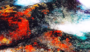 „Fiori e Mare“: Vernissage mit Christian-Karl-Martin 