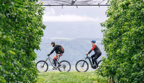 Kulinarische Radtour