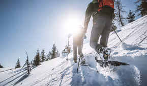 Schneeschuhwanderung am Weerberg
