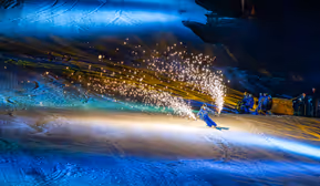 Skishow "Schneetreiben - The Snow must go on"