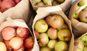 Jubiläum: 40. Haiminger Markttage