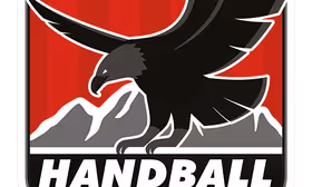 HLA Meisterliga Sparkasse Schwaz Handball Tirol vs. Förthof UHK Krems