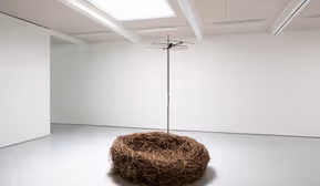 Ausstellungseröffnung "geld . macht . raum: Über die Ökonomie des Wohnens"