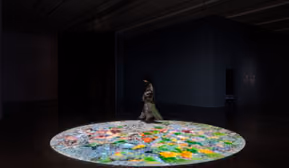 Christa Sommerer & Laurent Mignonneau | Come and Grow