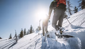 Schneeschuhwanderung am Weerberg