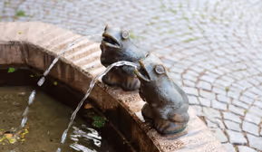 Von wilden Häuptern, Fröschen und einer Königin - Brunnenführung Hall