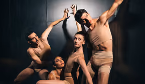 Bodies