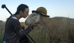 New Voices presents MUSS DAS PFERD AUCH ARBEITEN?
