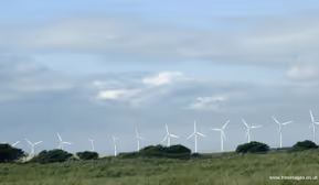 IGG-Vortrag: CLAUDIA BIELING: "Shifting baselines: Veränderungen der Landschaftswahrnehmung zwischen Problem und Notwendigkeit. Eine Erkundung des gesellschaftlichen Blicks auf Weiden, Windkr