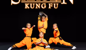Die Mönche des Shaolin Kung Fu - Shamis Weg nach Shaolin