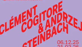 Clément Cogitore & Andrzej Steinbach
