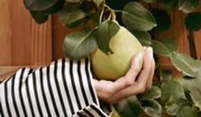 Vortrag "Wie der Mensch gesund bleibt - Kraftquellen des Lebens"