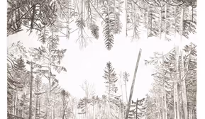 Kuratorenführung - mit Ralf Bormann durch die Ausstellung "Lichtungen: Die prämierten Werke des 39. Grafikwettbewerbs"