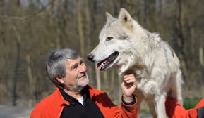 Der Wolf und wir – für ein konfliktarmes Zusammenleben
