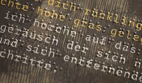 Aufzeichnungen einer Blinden