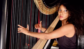 The Art of Solo – ZEM (BE)