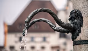 Von wilden Häuptern, Fröschen und einer Königin – Brunnenführung Hall