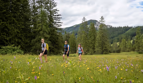 Achensee Wanderprogramm