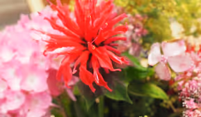 Selbstbestimmt und Aktiv im Alter!