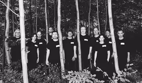 Hoch Kultur Festival – TAG 1