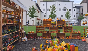 Haller Töpfermarkt