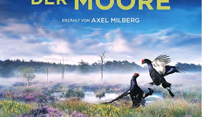 BA0200264, EZWK Moore Wissen Emotion: Magie der Moore. Filmabend und Gespräch mit dem Filmemacher Jan Haft