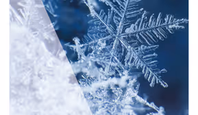 Weihnachtsausstellung ARS NOVA 2025