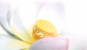 Offene YiXue Übungsgruppe
