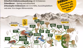TT zu Gast im Zirbenpark Hochzeiger