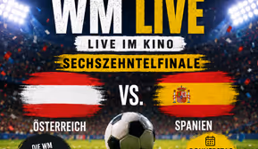 Fußball WM live: Österreich – Spanien