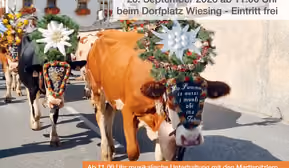  Wiesinger Herbstfest mit Almabtrieb 2026