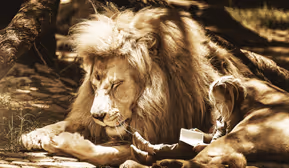 Märchen Klangschalenreise, Eltern-Kind Workshop