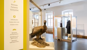 Aufgespürt - Objekte, Geschichten, Geheimnisse