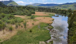 Vortrag - Stillgewässer Österreichs: deren ornithologische Bedeutung und Veränderung in den letzten 30 Jahren