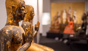 Ausstellungen im Museum der Völker
