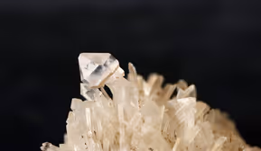 Führung - mit Maria Schaffhauser durch das Depot der Erdwissenschaftlichen Sammlung