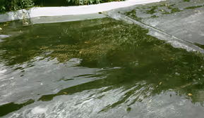 Nancy Holt, Michael Kienzer