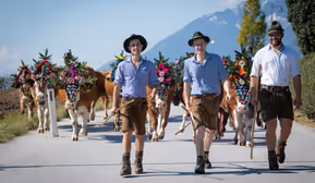 Bauern­­­markt mit Almabtrieb & Kirchtags­fest