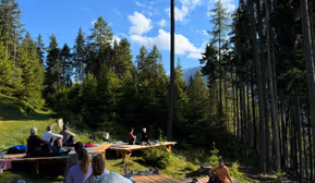 Yin Yoga outdoor im Waldyoganest