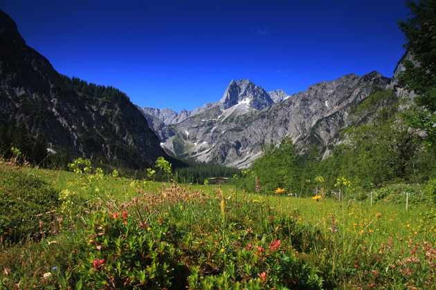 Gramaialm bei Pertisau mit der Lamsenspitze im Hintergund.