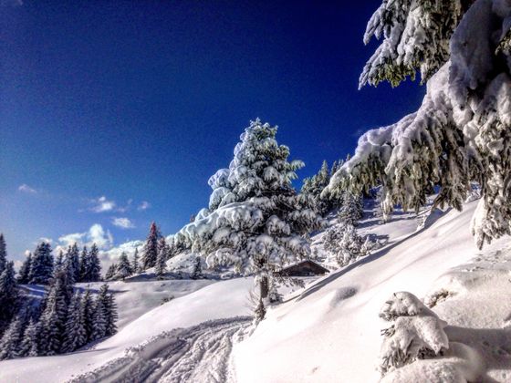 Auf dem Weg zum Weinbergerhaus in Kufsteinbei minus 18 Grad war Julia Schwaighofer.