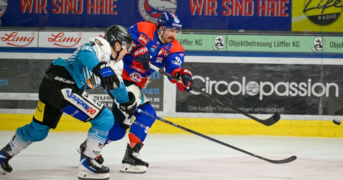 Die-Wilkins-Show-reichte-den-Haien-gegen-Bozen-nicht-zum-Sieg