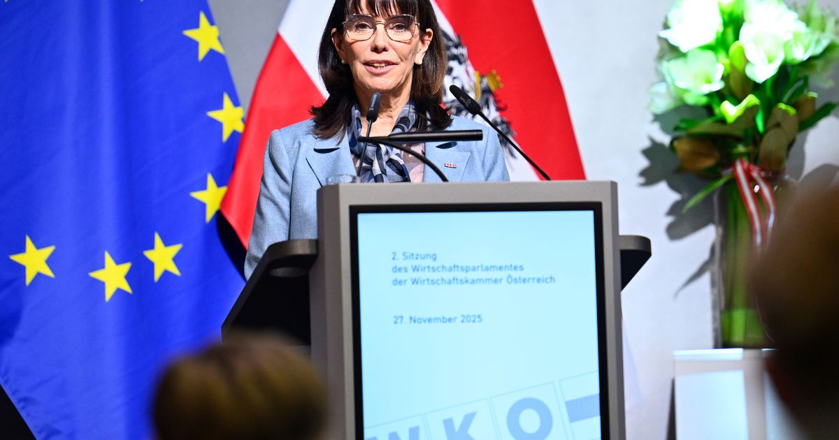 Interims-L-sung-ist-vorbei-Tirolerin-Schultz-bernimmt-Wirtschaftskammer-als-fixe-Pr-sidentin