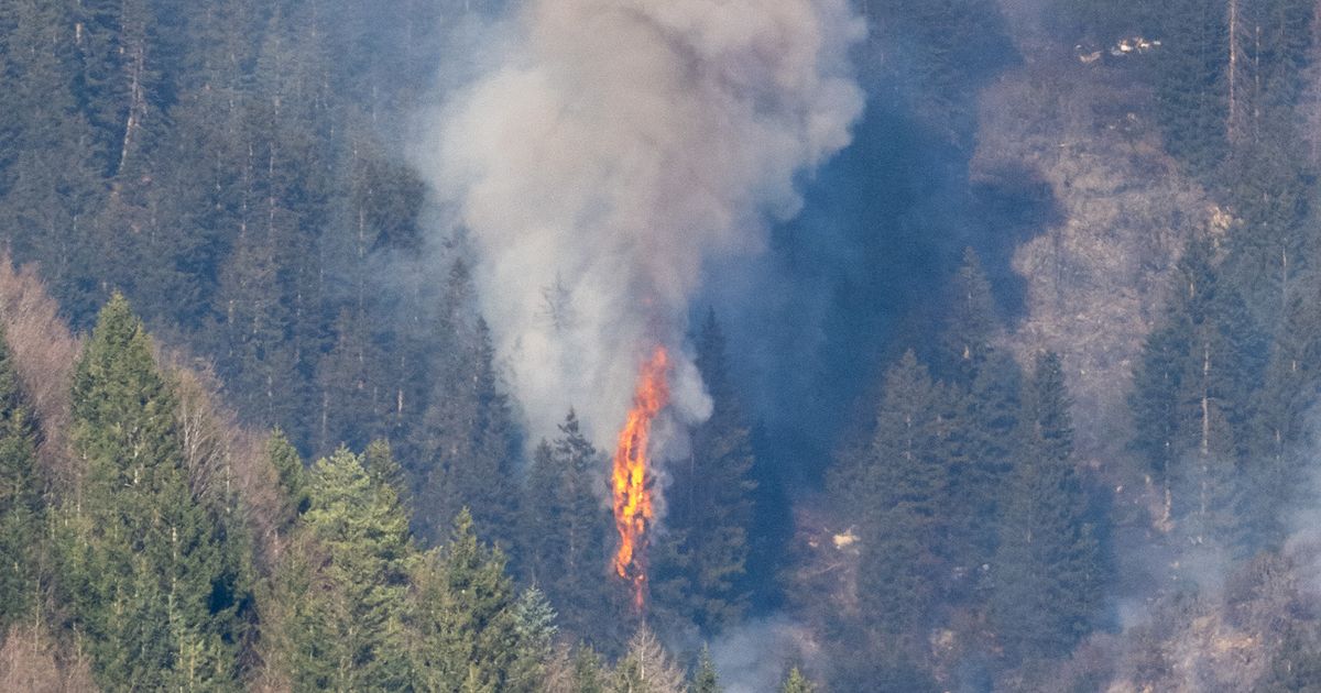 Waldbrand-auf-der-Nordkette-Haben-Eltern-die-Aufsichtspflicht-vernachl-ssigt-