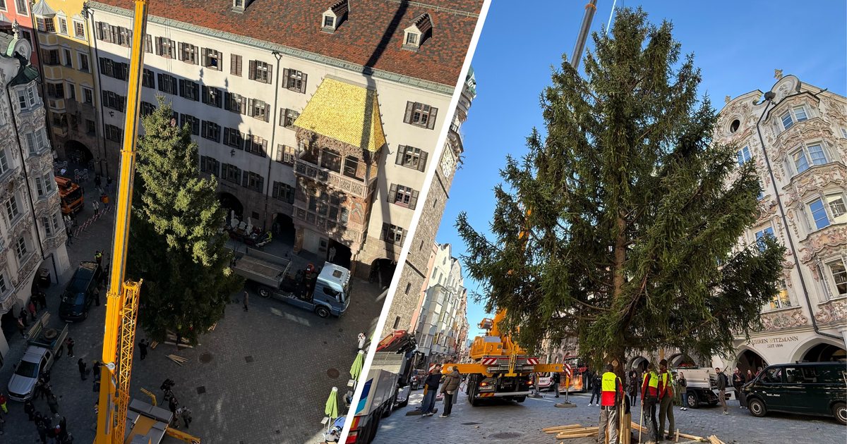 Advent-zieht-in-Innsbrucker-Altstadt-ein-18-Meter-hoher-Christbaum-thront-vor-dem-Goldenen-Dachl